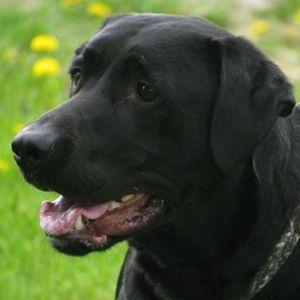 Meet your Posher, Lyn